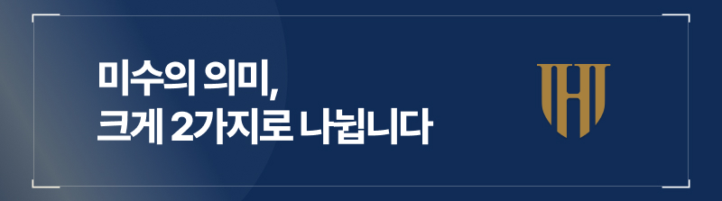 미수의 의미, 크게 2가지로 나뉩니다